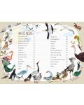 The Big Book of Birds - 2t