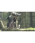 The Last Guardian Limited Edition (PS4) - 8t