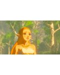 The Legend of Zelda: Breath of the Wild (Wii U) - 8t