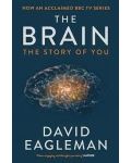 The Brain: The Story of You - 1t