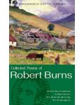 The Collected Poems of Robert Burns: Wordsworth Poetry Library - 2t