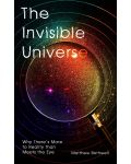 The Invisible Universe - 1t