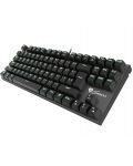 Механична клавиатура Genesis - Thor 300 TKL, Blue Switches, черна - 1t