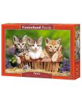 Пъзел Castorland от 500 части - Три сладки котета - 1t