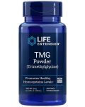 TMG Powder, 50 g, Life Extension - 1t