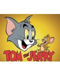 Том и Джери: Класическа колекция - Част 9 (DVD) - 4t