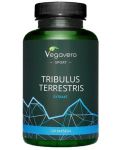 Tribulus Terrestris Еxtrakt, 120 капсули, Vegavero - 1t