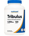 Tribulus, 240 капсули, Nutricost - 1t