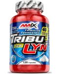 TribuLyn 40%, 750 mg, 120 капсули, Amix - 1t