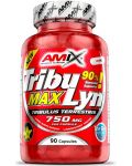TribuLyn Max 90%, 750 mg, 90 капсули, Amix - 1t