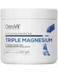 Triple Magnesium Powder, 100 g, OstroVit - 1t