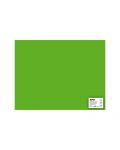 Картон Apli - Тревисто зелен, 50 х 65 cm - 1t