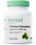 Tribulus Terrestris Saponins, 200 mg, 90 капсули, Osavi - 1t