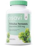 Tribulus Terrestris Saponins, 200 mg, 180 капсули, Osavi - 1t