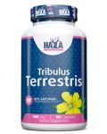 Tribulus Terrestris, 500 mg, 90 капсули, Haya Labs - 1t