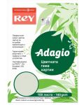 Цветен копирен картон Rey Adagio - Green, A4, 160 g, 100 листа - 1t