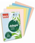 Цветна копирна хартия Rey Adagio - Пастел микс, А4, 80 g, 100 листа - 1t