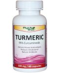 Turmeric, 500 mg, 60 капсули, Phyto Wave - 1t