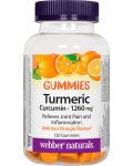 Turmeric Curcumin, 120 желирани таблетки, Webber Naturals - 1t