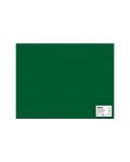 Картон Apli - Тъмно зелен, 50 х 65 cm - 1t