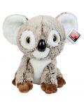 Плюшена играчка Morgenroth Plusch - Кафява коала, 31 cm - 1t