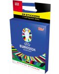 UEFA Еuro 2024: Еко кутия - 1t