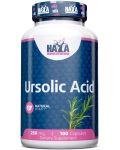 Ursolic Acid, 100 капсули, Haya Labs - 1t