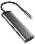 USB хъб Natec - Fowler Slim, 4 порта, USB-C, сив - 2t