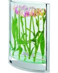 Ваза Philippi - Decade, 35 cm, стъкло с хромиран алуминий - 3t
