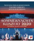 Valery Gergiev - Summer Night Concert 2020 (DVD Box) - 1t