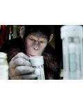 Възходът на Планетата на маймуните (DVD) - 4t