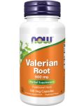Valerian Root, 100 капсули, Now - 1t