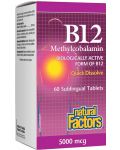Vitamin B12 Methylcobalamin, 5000 mcg, 60 таблетки, Natural Factors - 1t