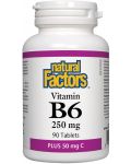 Vitamin B6 + Vitamin C, 90 таблетки, Natural Factors - 1t