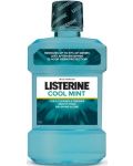Listerine Вода за уста Coolmint, 1000 ml - 1t