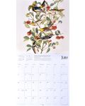 Wall Calendar 2018: Fitzwiliam Musuem - Audubon Birds - 4t