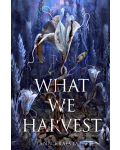 What We Harvest - 1t