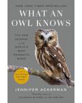 What an Owl Knows - 1t