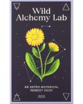 Wild Alchemy Lab (52-Card Deck and Booklet) - 1t