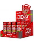 XFat 2in1 Shot Box, 20 шота, Amix - 1t