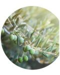 Yves Rocher Bain Nature Мист, маслина и петигрен, 100 ml - 2t