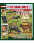 Опознай животните в България: Обитателите на двора - 1t