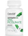 Zinc Picolinate, 15 mg, 30 таблетки, OstroVit - 1t