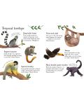 Zoo Animals to Spot - 4t