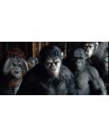 Зората на Планетата на маймуните 3D (Blu-Ray) - 8t