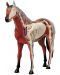 Сглобяем модел на кон Revell - Horse Anatomy Model (02099) - 1t