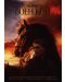 Боен кон (DVD) - 1t