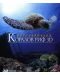 Невероятният Коралов риф 3D (Blu-Ray) - 1t