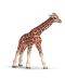 Фигурка Schleich от серията Дивия живот - Африка: Жираф - бебе - 1t
