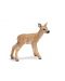 Фигурка Schleich от серията Дивия живот - Животните в Европа: Благородно еленче - 1t